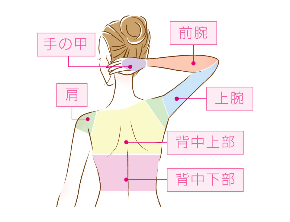 施術部位